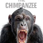 Biology of Apes & Monkeys Kindle eBook Amazon 209 Pages Enhanced-0