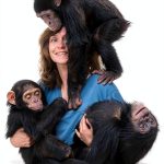 HarperOne Kindle eBook on West African Travel & Primatology-0