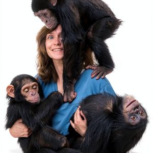 HarperOne Kindle eBook on West African Travel & Primatology-0