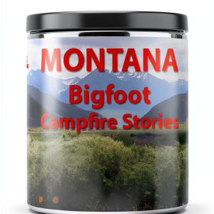Rusty Wilson Bigfoot Campfire Stories Kindle eBook Yellow Cat-0