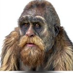 Kindle eBook Biology of Apes & Monkeys – Amazon Digital Edition-0
