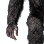 Bigfoot Books Hangar 1 Publishing Kindle Edition Biology of Apes Guide-0